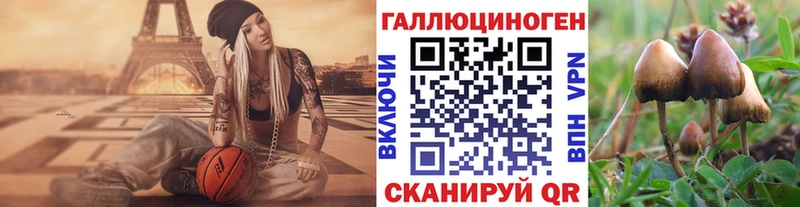как найти закладки  Кунгур  Галлюциногенные грибы Psilocybine cubensis 